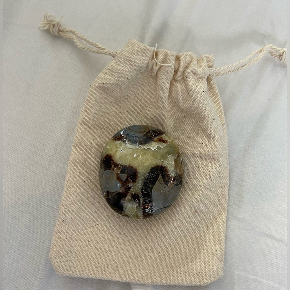 Septarian Palm Stone